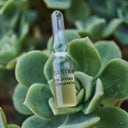 Santaverde AGE PROTECT intensive treatment - 10 x 1 ml