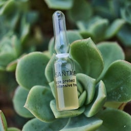 Santaverde AGE PROTECT intensive treatment - 10 x 1 ml