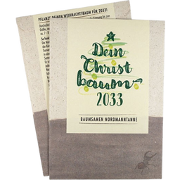 Dein Christbaum - Samen der Nordmanntanne - 1 Pkg