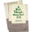 Your Christmas-Tree - Samen der Nordmanntanne