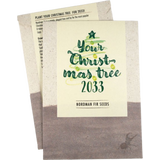 Your Christmas-Tree - Samen der Nordmanntanne