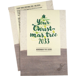 Your Christmas-Tree - Samen der Nordmanntanne - 1 Pkg