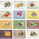 Own Grown Saatgut-Jahreskalender