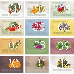 Own Grown Saatgut-Jahreskalender