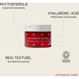 Intensive Care Day Face Cream for Dry & Normal Skin - 30 ml