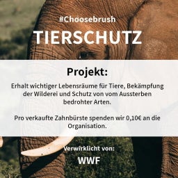 Niyok Zahnbürste Erwachsene 