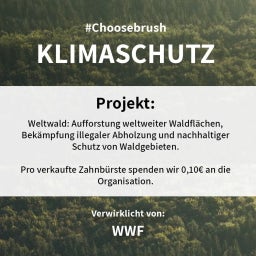 Niyok Zahnbürste Erwachsene 