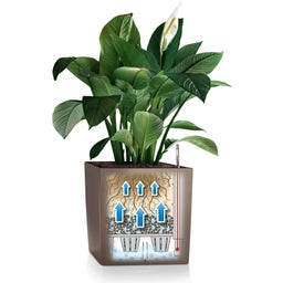 Lechuza Pflanzgefäß CUBE Premium 30