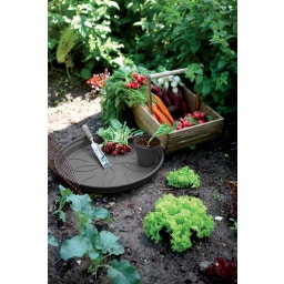 green basics Untersetzer