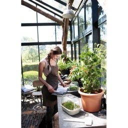 elho green basics Anzuchtschale M