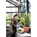 elho green basics Anzuchtschale M