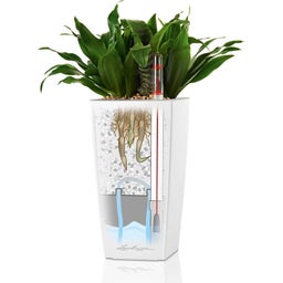 Lechuza Tischgefäß MINI CUBI Premium