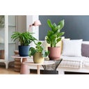 elho vibes fold rund 16 cm