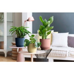 elho vibes fold rund 16 cm