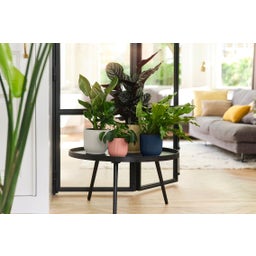 elho vibes fold rund 16 cm