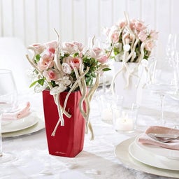 Lechuza Tischgefäß MINI CUBI Premium