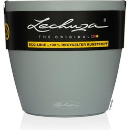 Lechuza Pflanzgefäß CLASSICO Color 21