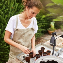 Compo BIO Anzucht- und Kräuter-Erde torffrei