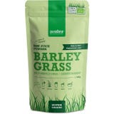 Purasana Gerstengras Saftpulver Bio