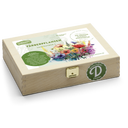Färberpflanzen Saatgut - Box S - 1 Set