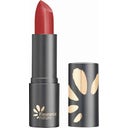 Lipstick, 312 Rouge Tendre (3.5 g)
