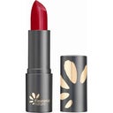 Lipstick, 210 Rouge Passion (3.5 g)