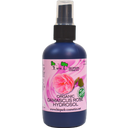 Organic Damascus Rose Hydrosol, 100 ml