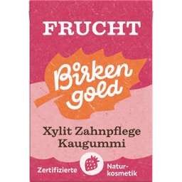 Xylit Zahnpflege Kaugummi Frucht - 28 g