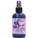 Organic Lavender Hydrosol, 100 ml