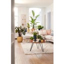 elho vibes fold rund mini 7 cm