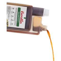 Ewalia Balancesaft - 1 l