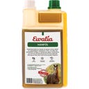Ewalia Hanföl - 1.000 ml