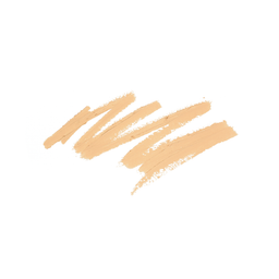 Miss W PRO Anti-Blemish Concealer - 43 Golden Beige