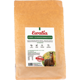 Ewalia Kürbis-Schwarzkümmelsticks