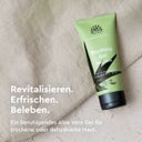URTEKRAM Nordic Beauty Aloe Vera Gel - 100 ml