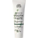 URTEKRAM Nordic Beauty Eucalyptus Toothpaste - 75 ml