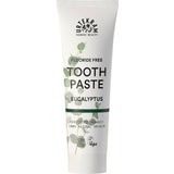 URTEKRAM Nordic Beauty Eucalyptus Toothpaste