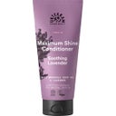 Soothing Lavender Conditioner, 180 ml