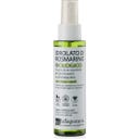 Rosmarin Hydrolat - 100 ml