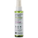 Bio Immortelle Hydrolat - 100 ml