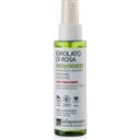 Rosen Hydrolat - 100 ml