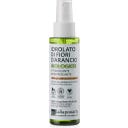 Bio Orangenblüten Hydrolat - 100 ml