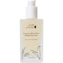 Fermented Rice Water Toner, 100 ml