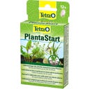 Tetra PlantaStart - 12 Tabletten