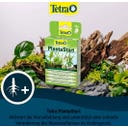 Tetra PlantaStart - 12 Tabletten