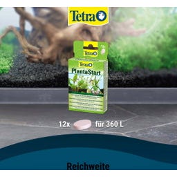 Tetra PlantaStart - 12 Tabletten