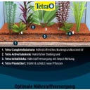 Tetra PlantaStart - 12 Tabletten
