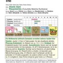 AUSTROSAAT Riesen-Kürbis 