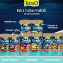 Tetra Cichlid Crisps