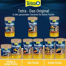Tetra Menu